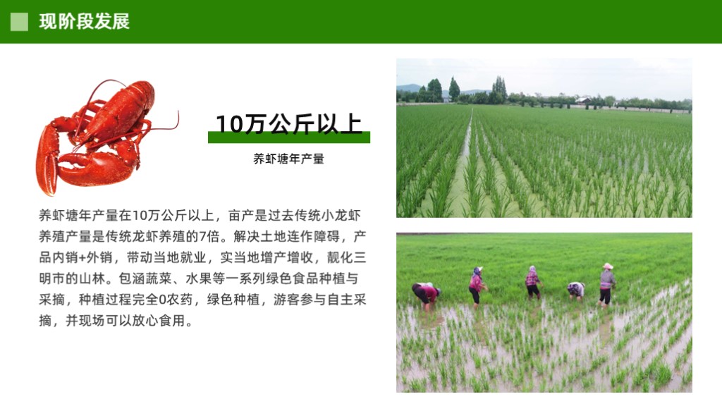虾稻生态农业商业计划书范文-undefined