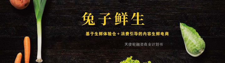 生鲜电商商业计划书模板范文