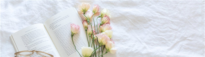 BP范文 |花予鲜花电商日常鲜花订阅市场项目创计划书范文（附下载）