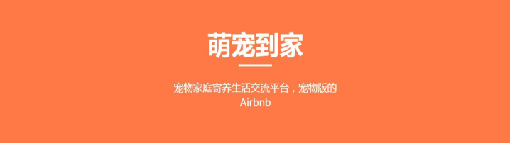 宠物寄养APP商业计划书范文