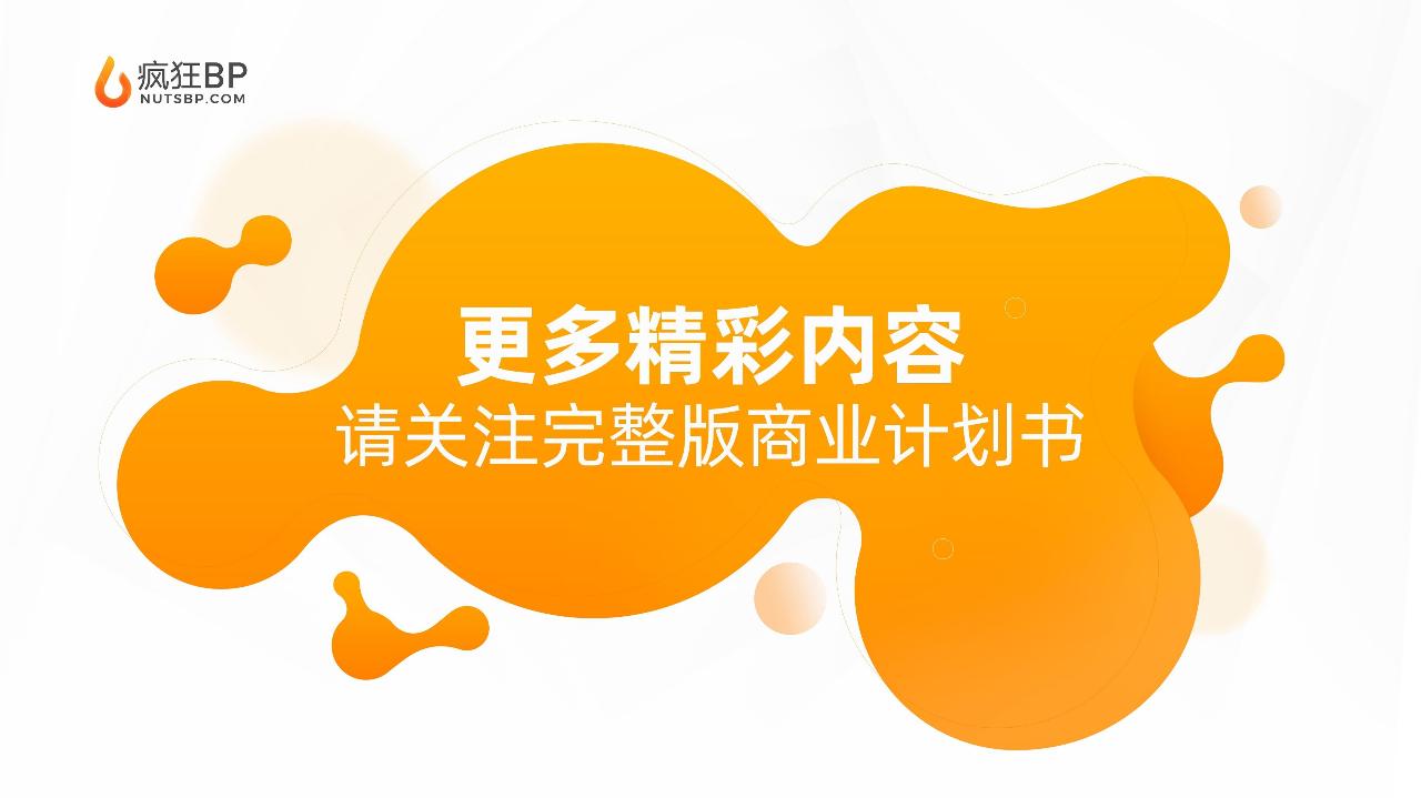 新型旅游服务平台商业计划书-undefined