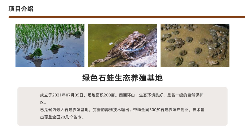 绿色石蛙生态养殖基地商业计划书范文-undefined