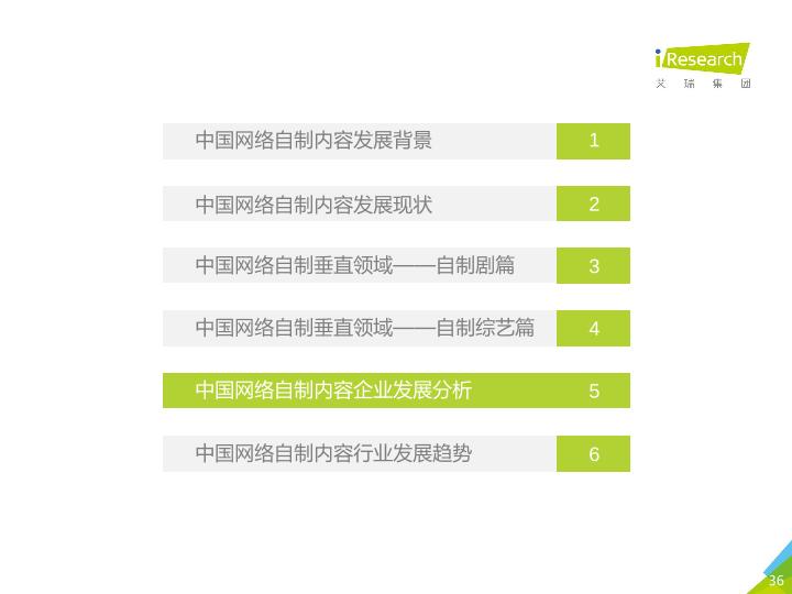中国网络自制内容行业研究报告：自制剧、自制综艺篇-20171125-undefined