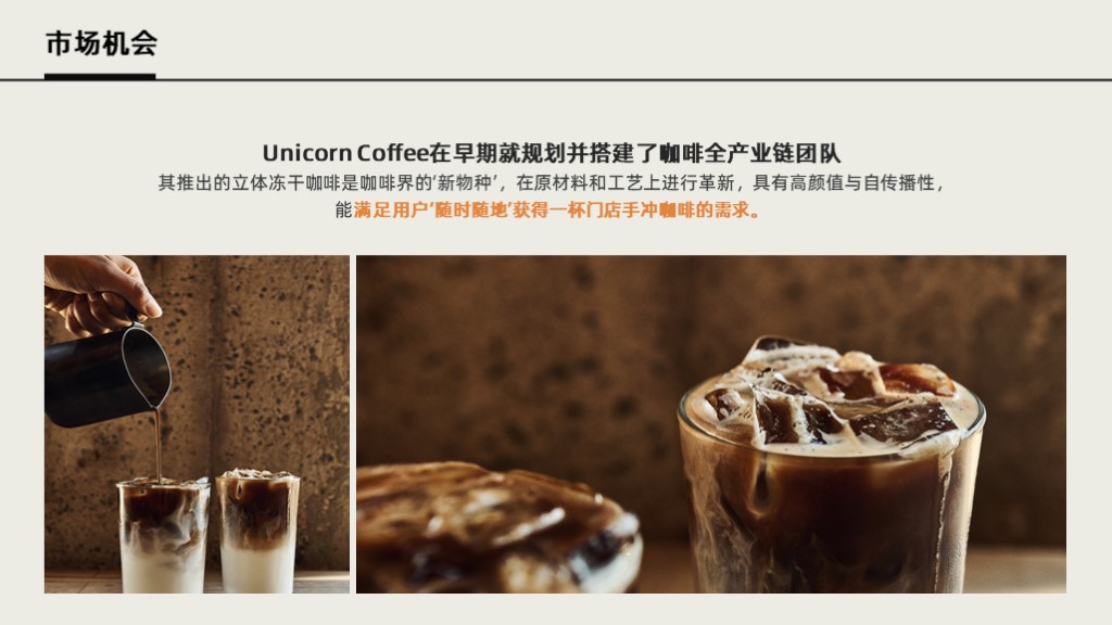 冻干咖啡块商业计划书范文-undefined